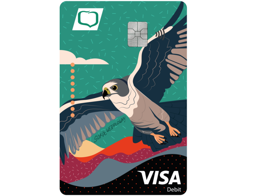 visa-classic