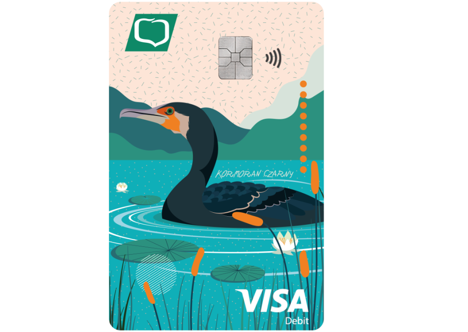 visa-euro