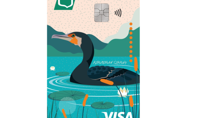 visa-euro