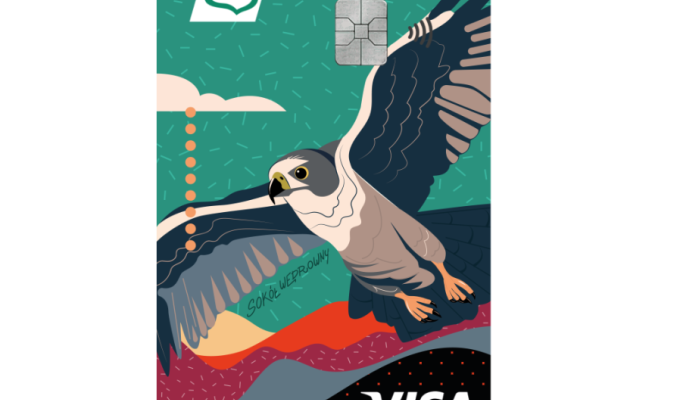 visa-classic