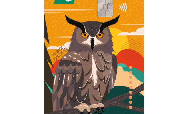 visa-classic