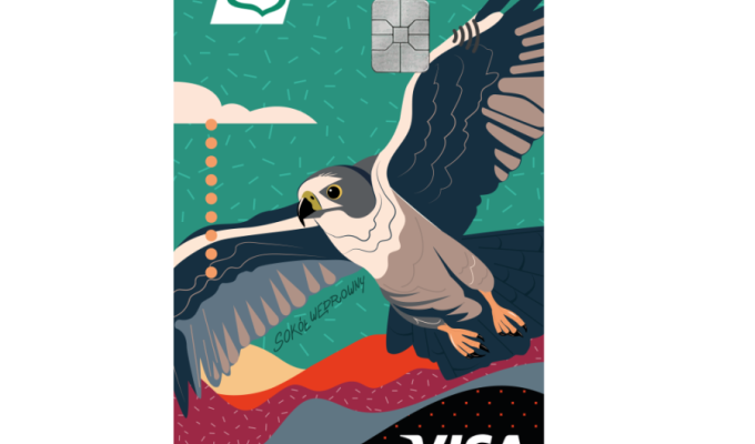 visa-classic